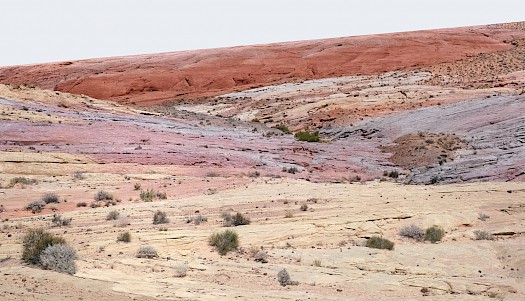 040.jpg