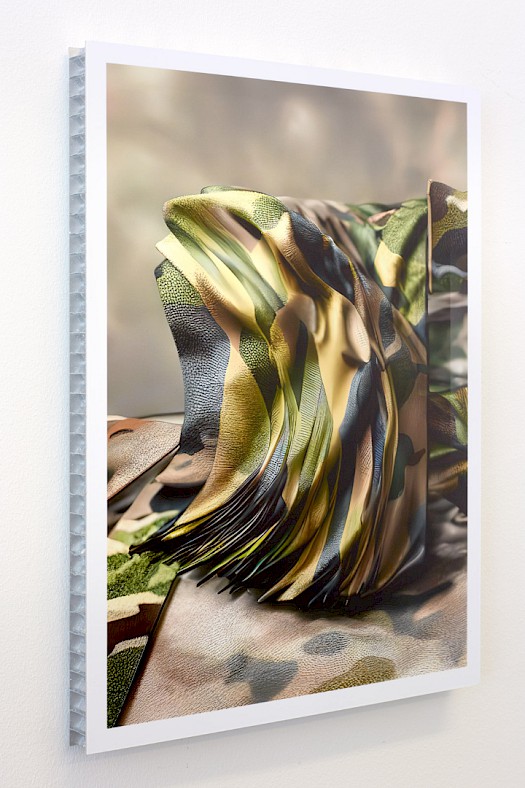 michaelreisch_trust-in-those-who-supposedly-know---murray_2023_30x24cm_inkjet-print-tecco-mu300plus-semiglossy_mounted-on-al-2.jpg